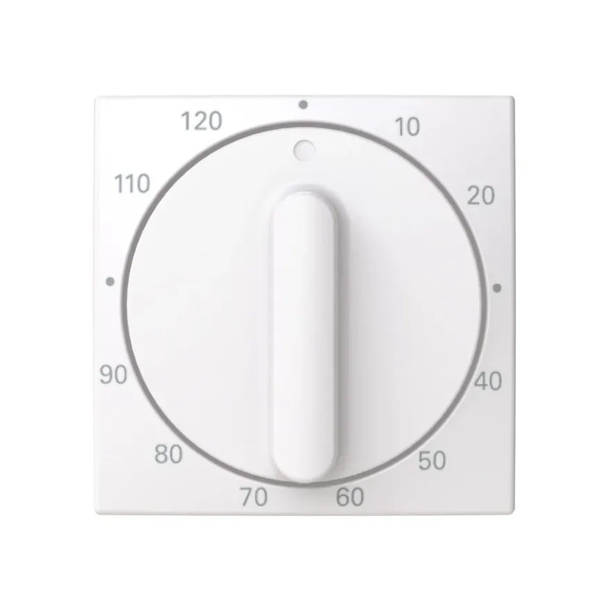 ABB Saga Centrumplatta Timer 0-120min