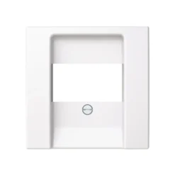 ABB Saga Centrumplatta USB/Data