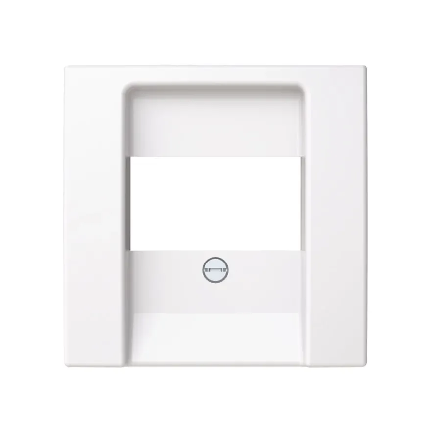ABB Saga Centrumplatta USB/Data