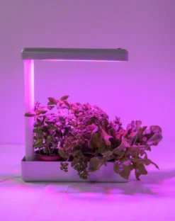 Airam Herby Plantlampa LED 10W