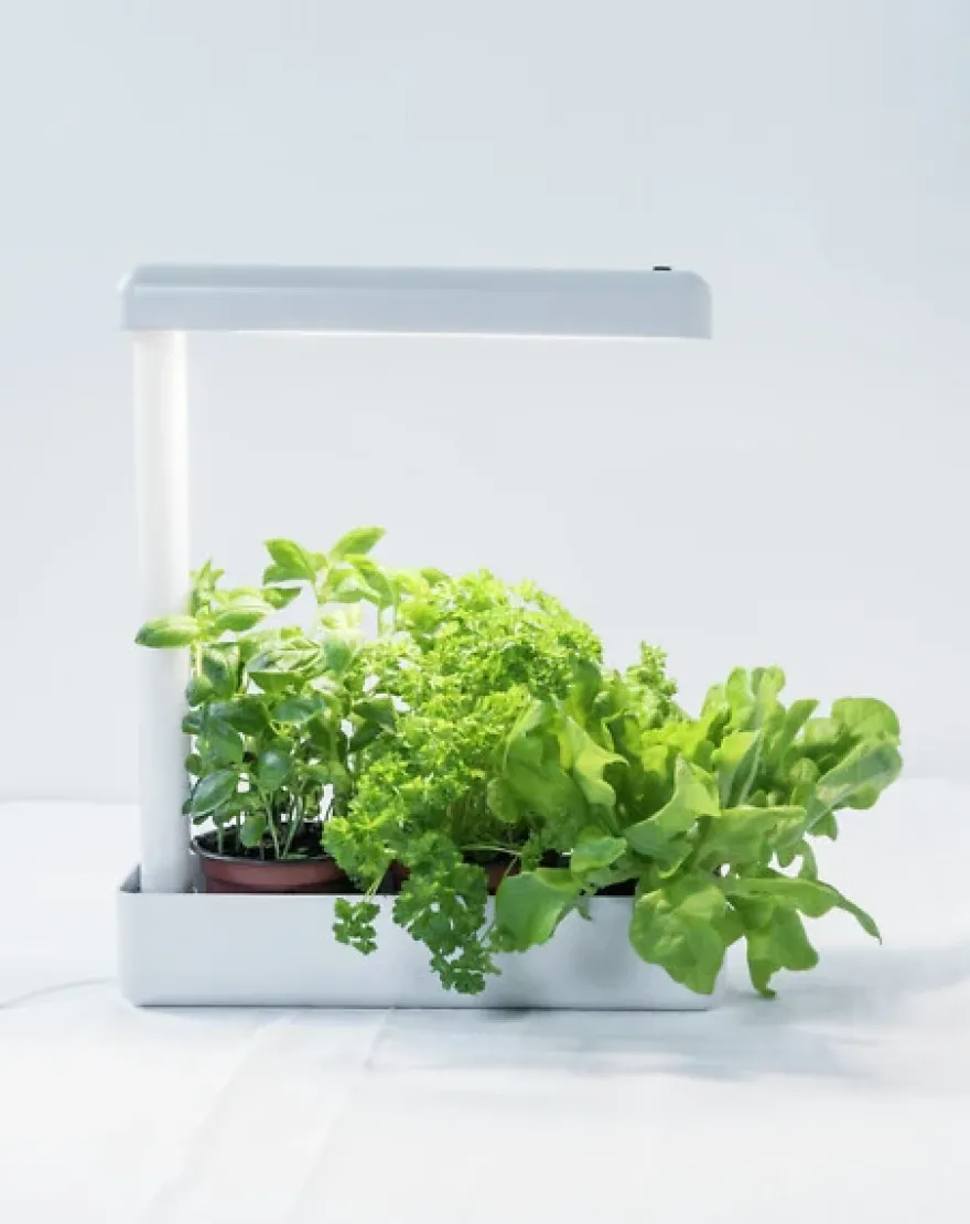 Airam Herby Plantlampa LED 10W
