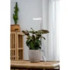 Airam Rose Växtlampa Kläm 10W Dim