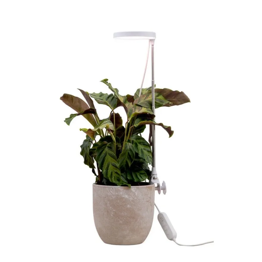 Airam Rose Växtlampa Kläm 10W Dim