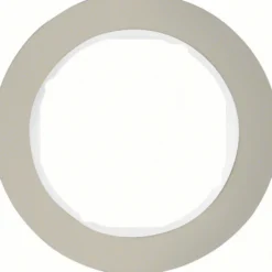 Berker R.Classic Kombinationsram Rostfri