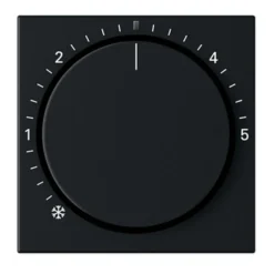 Gira System 55 Centrumplatta Termostat