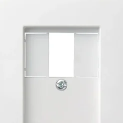 Gira System 55 Centrumplatta USB-uttag