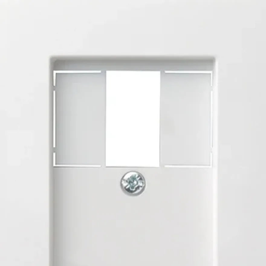 Gira System 55 Centrumplatta USB-uttag