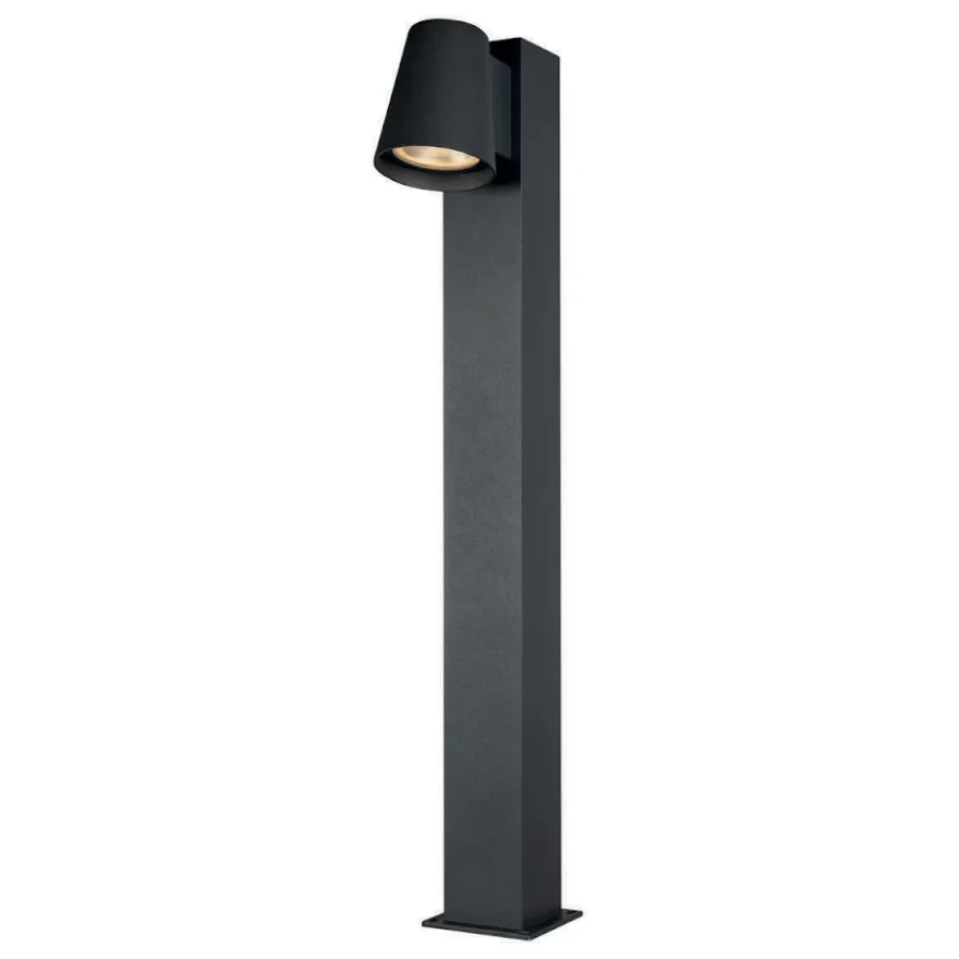 Hide-a-lite Cone Pollare