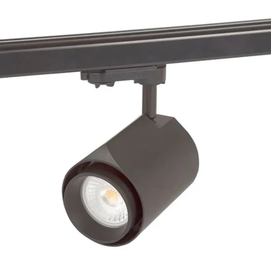 Hide a lite Focus Track Mega
