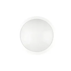 Hide-a-lite Moon Public Round