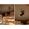 Hide a lite Spotlight Optic Spot XXS 36°