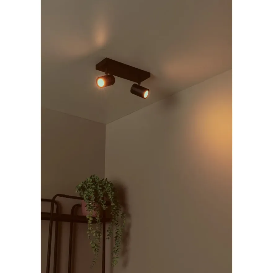 Lucide Amigo 2L Takspotlight GU10