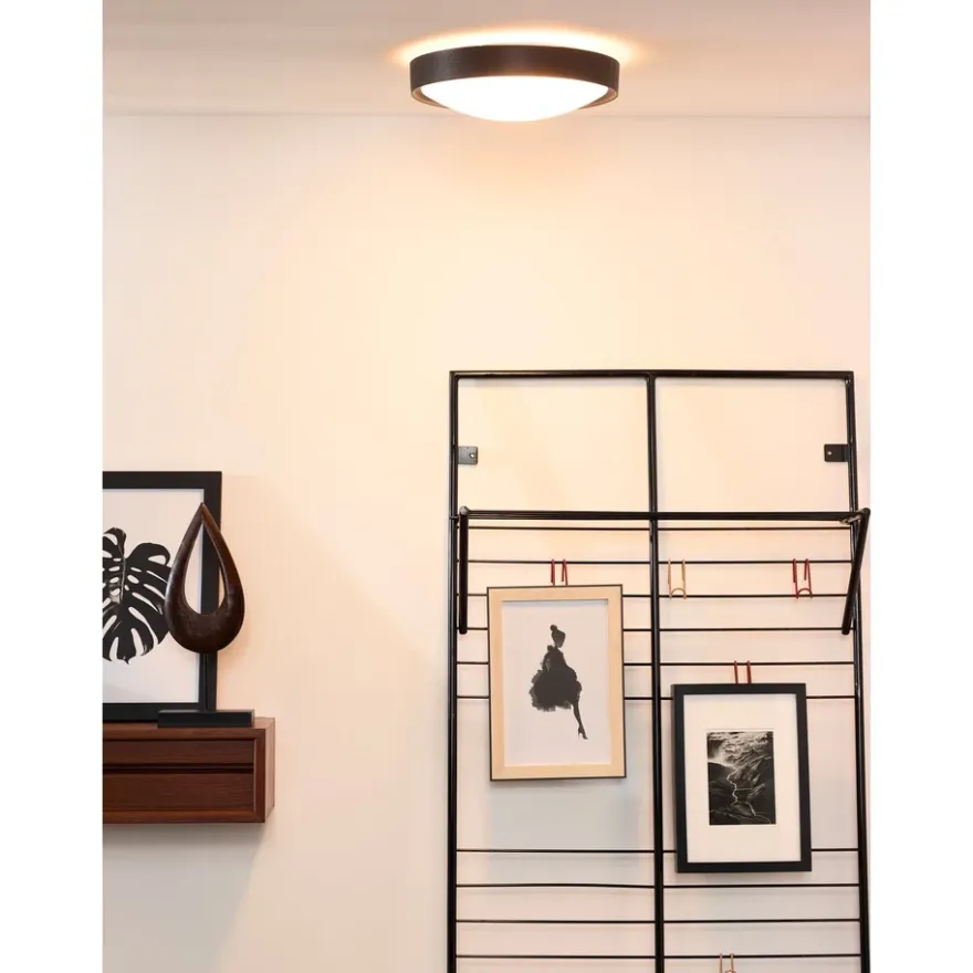 Lucide Lex Plafond Ø330 2xE27