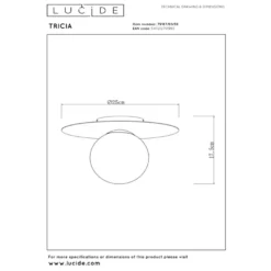 Lucide Tricia Taklampa E27