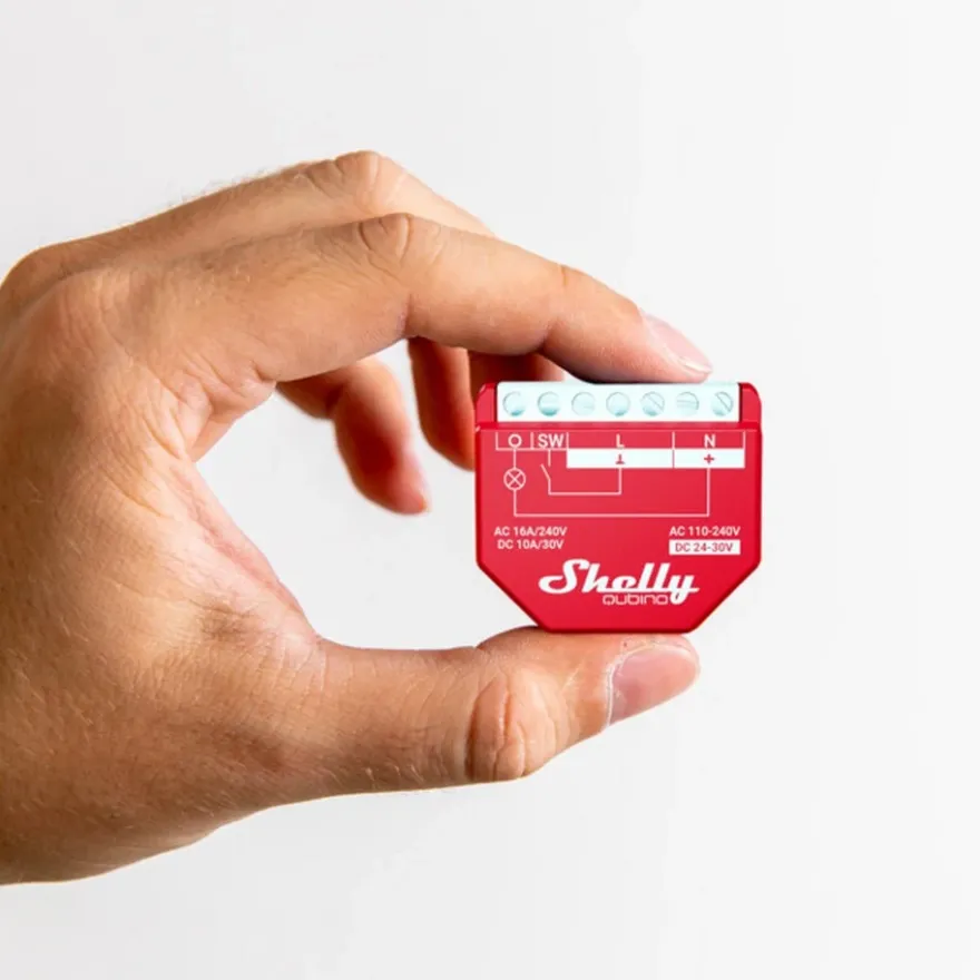 Shelly Qubino Wave 1PM