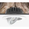 Westal Downlight WLD FR72 Flex Tilt