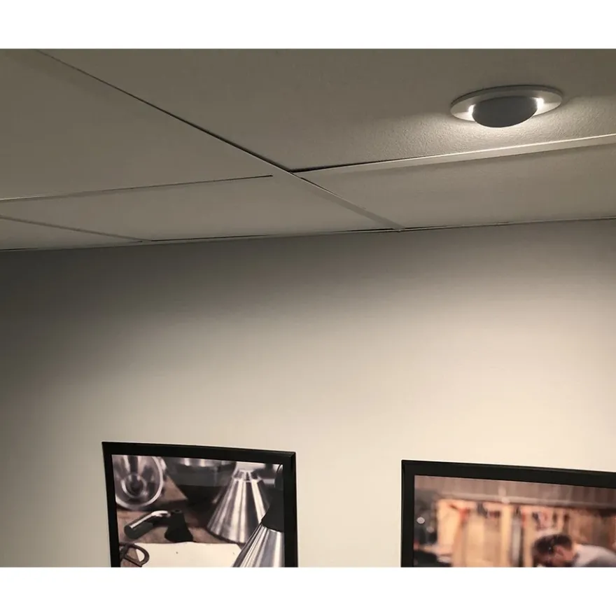 Westal Downlight WLD FR72 Flex Tilt